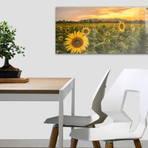 הדפסה על זכוכית - שדה חמניות