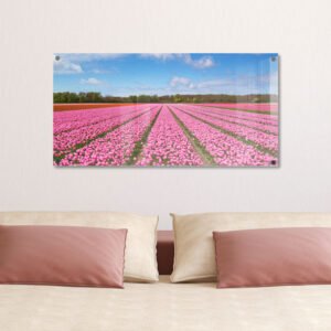 הדפסה על זכוכית - שדה ורוד